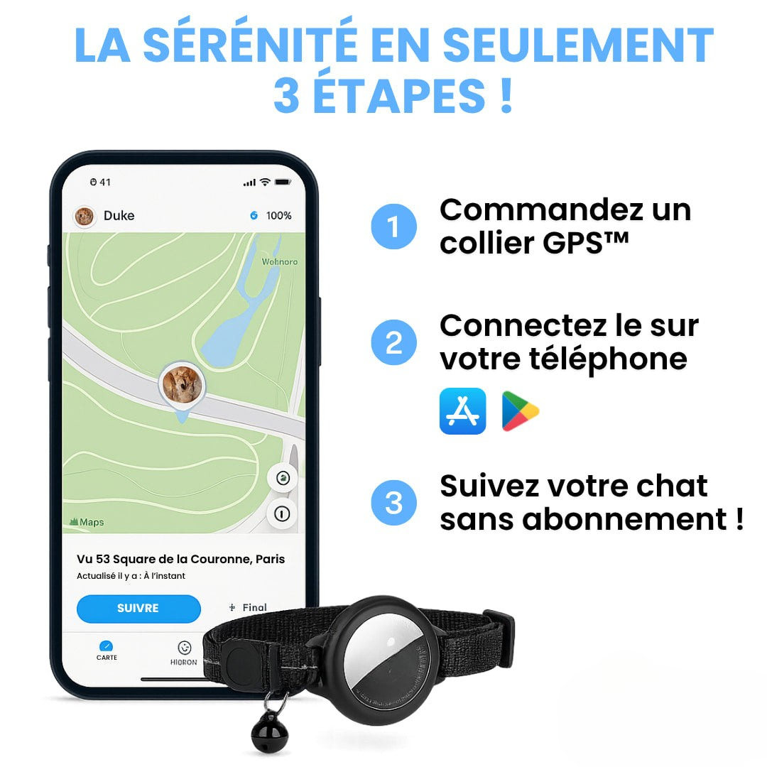 Collier GPS pour chat