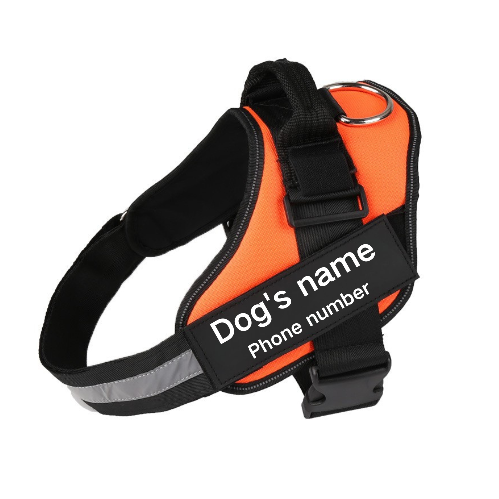 Harnais pour Chien Personnalisé Sans Tirage KAYSI™ Ultime
