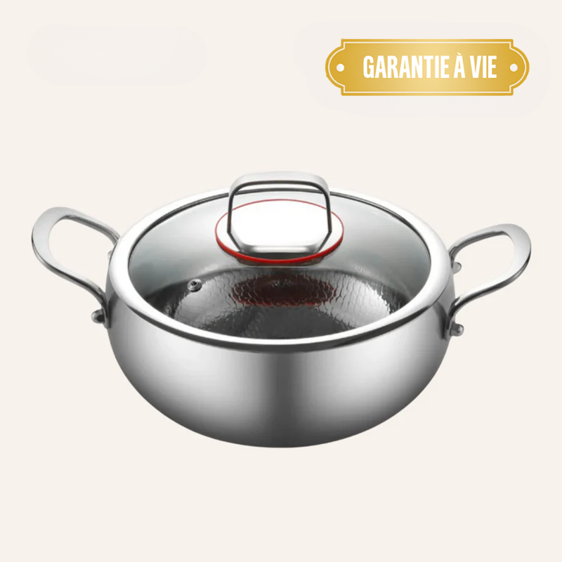 Cocotte en Titane Pro